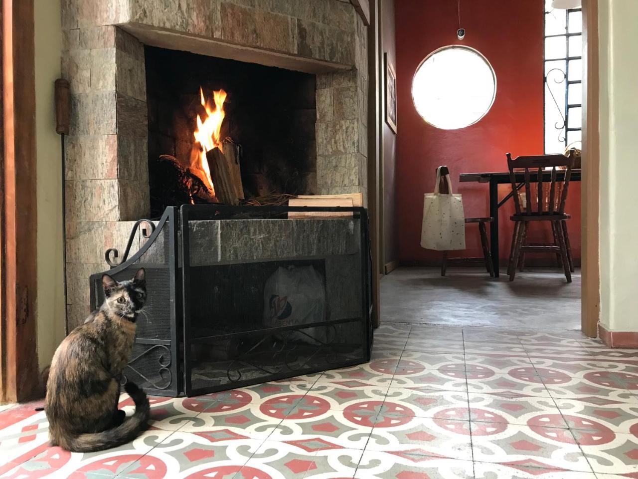 Frida Casa Hostel Pelotas Eksteriør billede